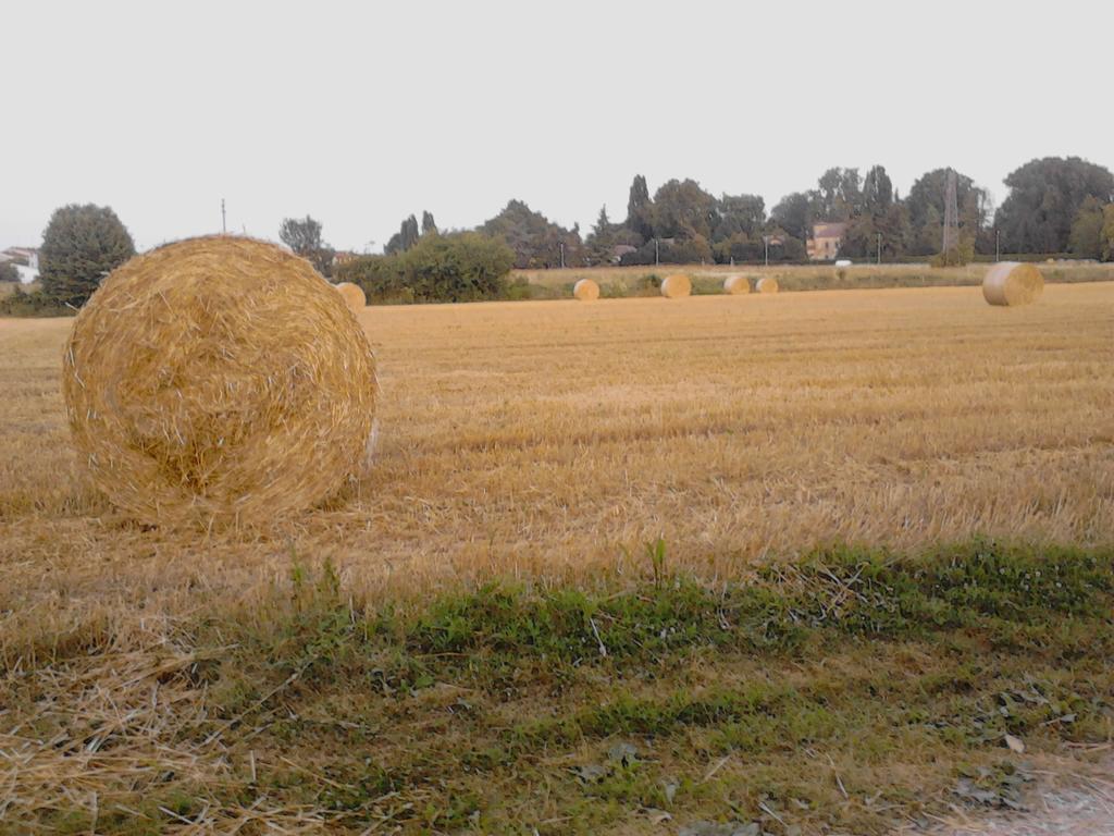 Green Fields パドヴァ エクステリア 写真