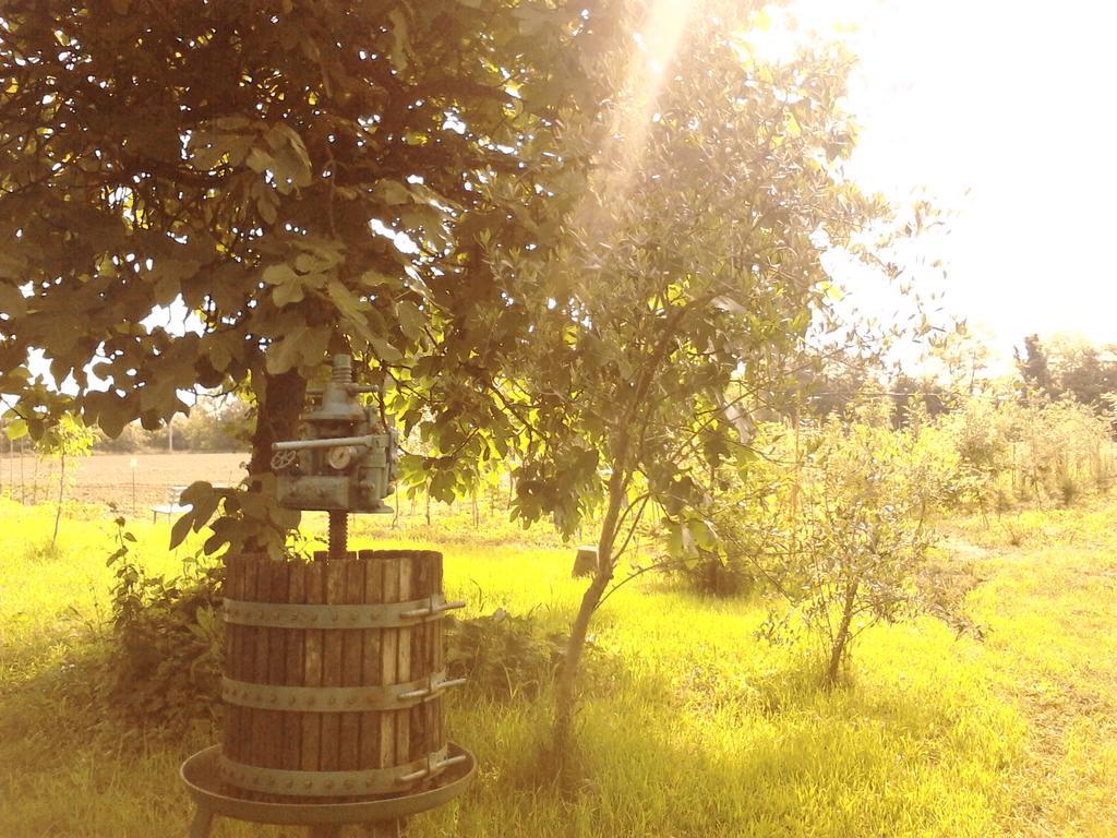 Green Fields パドヴァ エクステリア 写真